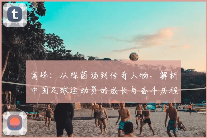 高峰：从绿茵场到传奇人物，解析中国足球运动员的成长与奋斗历程