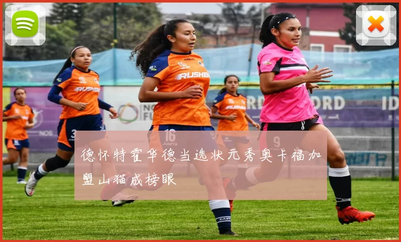德怀特霍华德当选状元秀奥卡福加盟山猫成榜眼
