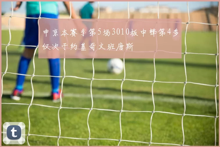 申京本赛季第5场3010板中锋第4多仅次于约基奇文班唐斯