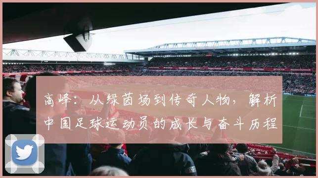 高峰：从绿茵场到传奇人物，解析中国足球运动员的成长与奋斗历程