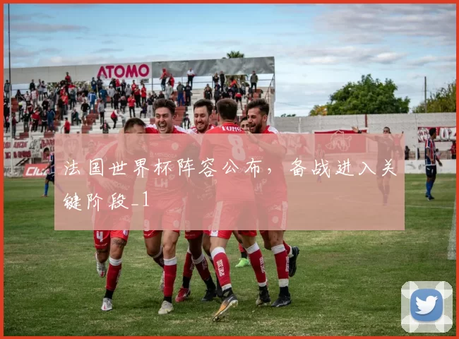 法国世界杯阵容公布,备战进入关键阶段_1