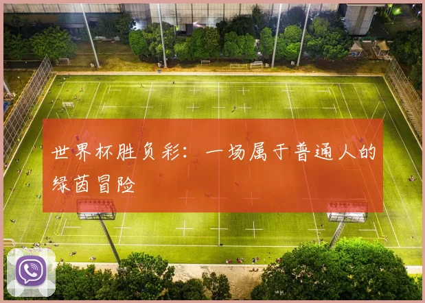 世界杯胜负彩：一场属于普通人的绿茵冒险