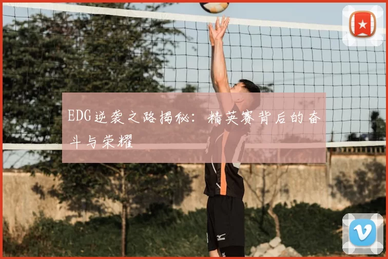 EDG逆袭之路揭秘：精英赛背后的奋斗与荣耀