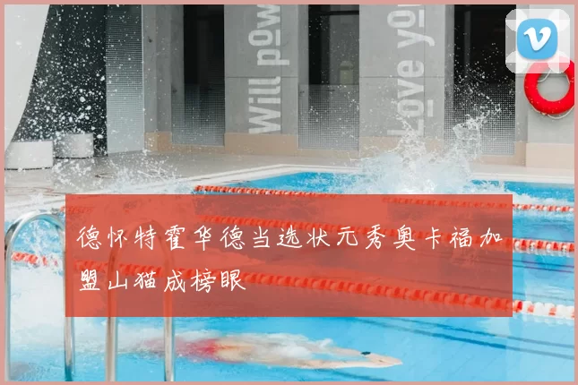 德怀特霍华德当选状元秀奥卡福加盟山猫成榜眼